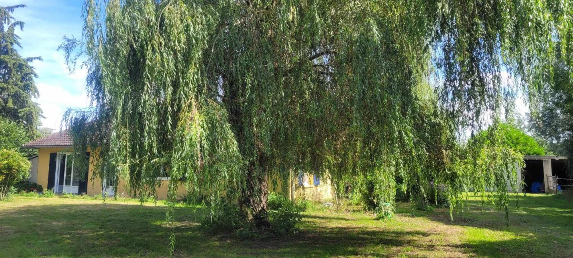 Gite Du Pont De Tancelle Preaux  ภายนอก รูปภาพ